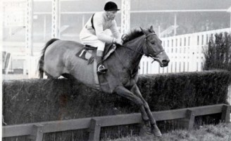 Pat Taffe on wonder horse Arkle